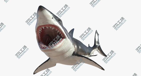 images/goods_img/20210312/3D Great White Shark Rigged model/1.jpg